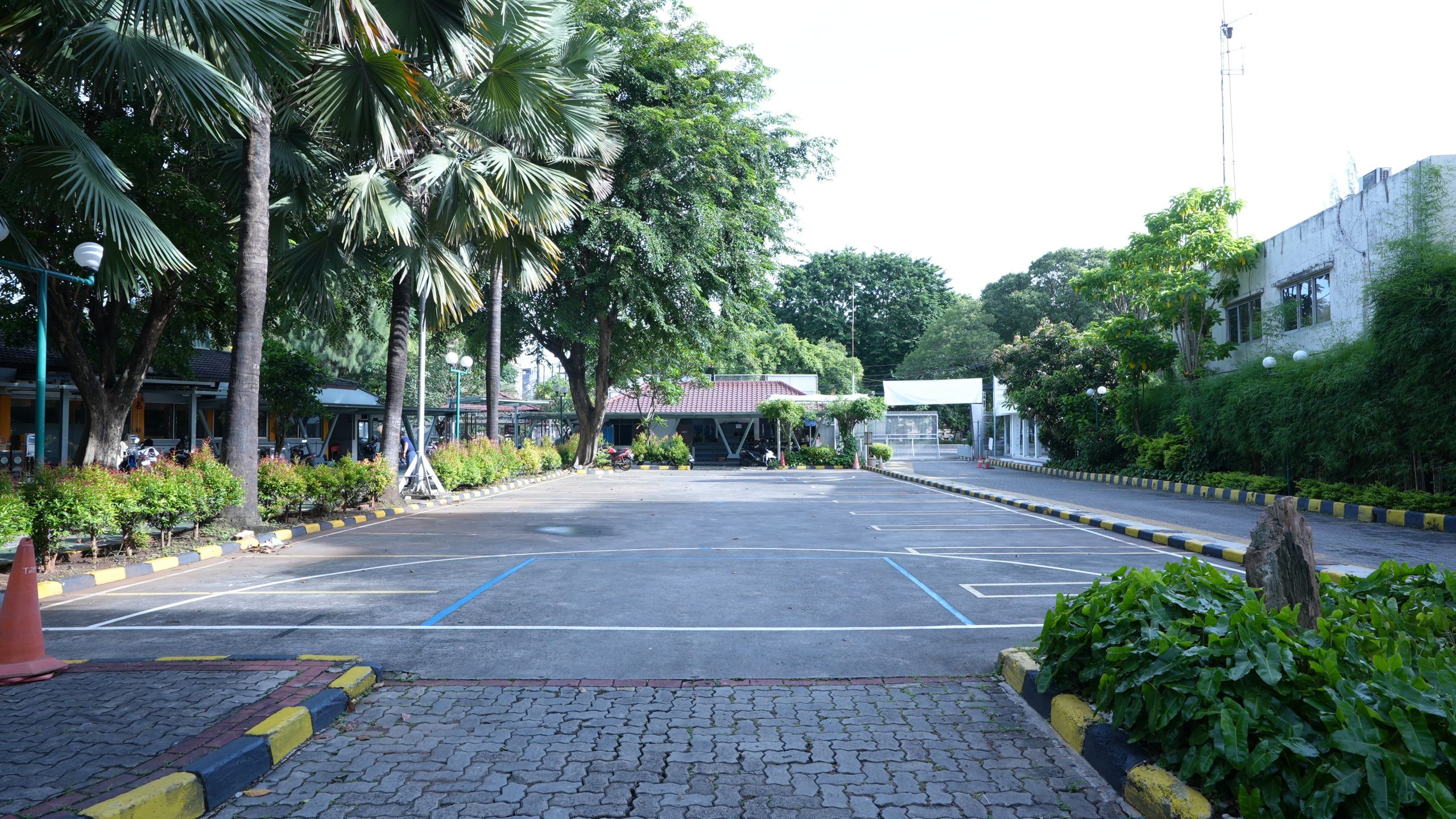 Multipurpose Field